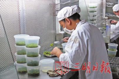 ������֮����������ǡ��������д���ȫ�������ز��(ͼ��)