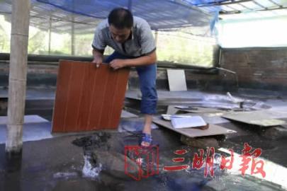 ���ɽ�����ܼ�(ͼ��)(ͼ��)